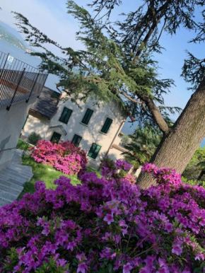Giardini MAGNOLIA
